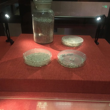 李静训墓金项链